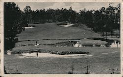 Mississippi Golfing - The Magnolia State Postcard Postcard 