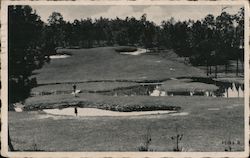 Mississippi Golfing - The Magnolia State Postcard