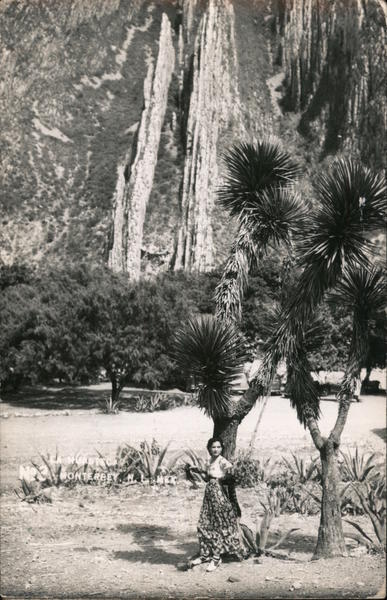 Woman Posing at Base of Palm Monterrey Mexico