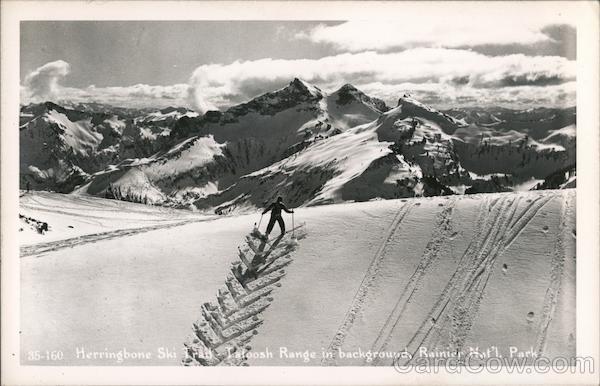 Herringbone Ski Trail, Tatoosh Range in Background Mount Rainier ...