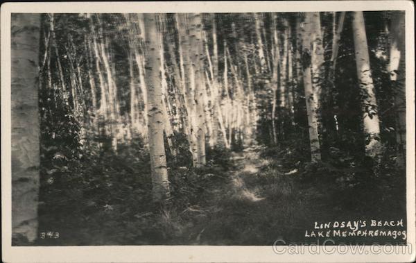 Lindsay's Beach QC Canada Quebec