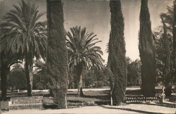 Parque Feo. T. Hadero Hermosillo Mexico