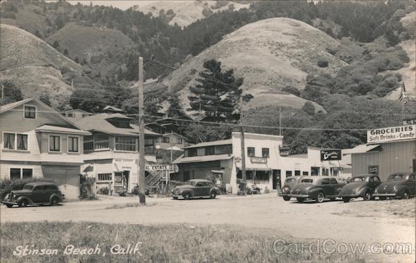 View of Town Stinson Beach California