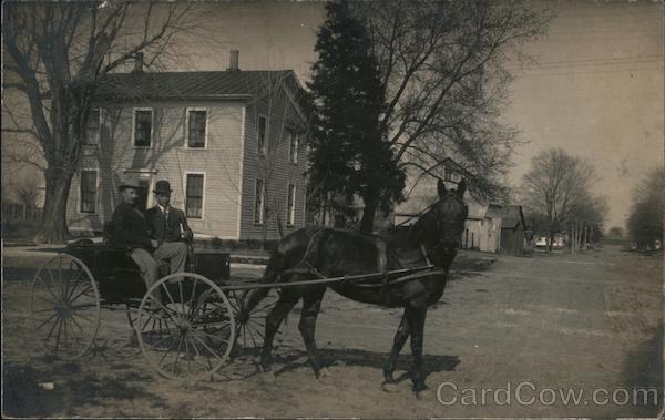 Going For A Ride in a Horse Drawn Buggy Maquon Illinois