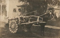 Children in Decorated Horse Cart Ulster County Fair Postcard