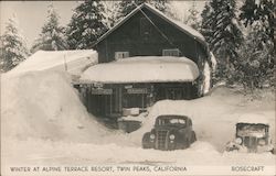 Winter at Alpine Terrace Resort Postcard