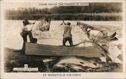 Come on up the Fishing is Good Postcard