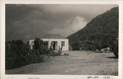 A house in Aruba Postcard