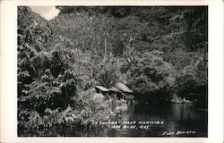 La Tavama Paseo Maritimo Postcard