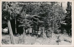 Cabins by Brissons - O - Shagawa Postcard