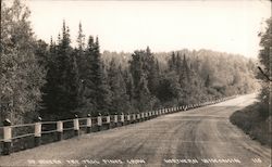 Up Where the Tall Pines Grow Postcard