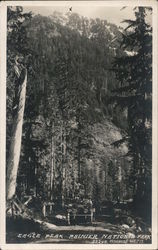 Eagle Peak Mount Rainier National Park, WA Postcard Postcard Postcard