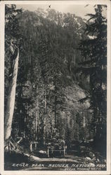 Eagle Peak Postcard