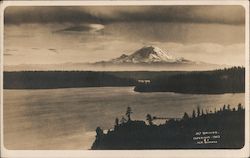 Mt. Rainier Postcard
