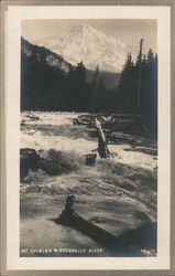 Mt Rainier and Nesqually River Mount Rainier, WA Postcard Postcard Postcard