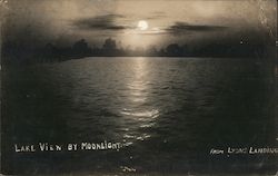 Lake View by Moonlight from Lyons Landing Lakeview, OH Postcard Postcard Postcard