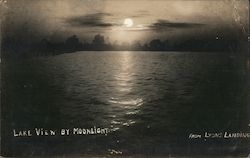 Lake View by Moonlight from Lyons Landing Postcard
