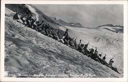 Nature Coasting on Paradise Glacier Postcard