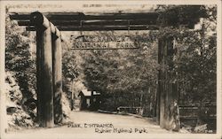 Park Entrance, Rainier National Park Postcard