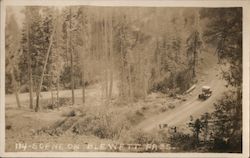 Scene on Blewett Pass Postcard