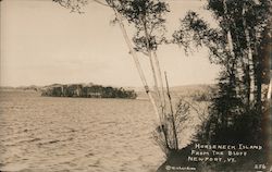Horseneck Island from the Bluff Newport, VT Postcard Postcard Postcard