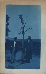 Two Men With a Giant Cornstalk Postcard