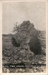 Tree Mould - Craters of the Moon Postcard