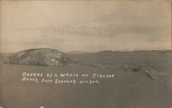 Carcass of a whale on Clatsop Beach Postcard