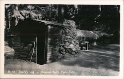 Tharp's Log Cabin, Giant Forest grove Postcard