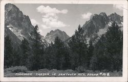 Fishhook Canyon in Sawtooth Mts, Idaho #59 Postcard