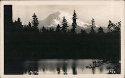 Mt Rainier, Wash at Twilight Washington Postcard Postcard Postcard