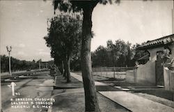 Obregon Causeway Postcard