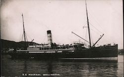 SS Moeraki, Wellington Postcard