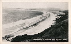 Sea Downs Postcard