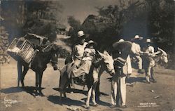 Typical Mexican Family Arriving in Town Postcard