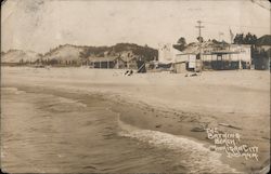 The Bathing Beach Michigan City, IN Postcard Postcard Postcard