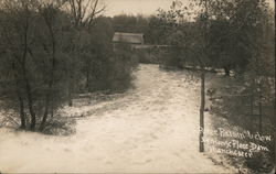 River Raisin Below Exchange Place Dam Manchester, MI Postcard Postcard Postcard