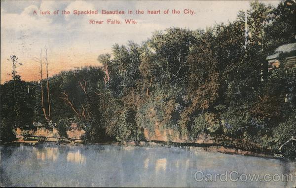 A Lurk of the Speckled Beauties in the Heart of the City River Falls Wisconsin