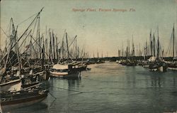 Sponge Fleet Postcard