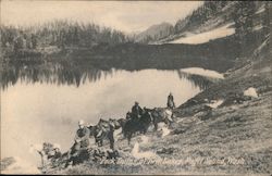 Pack Trains at Twin Lakes, Puget Sound Postcard