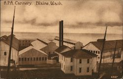 APA Cannery Blaine, WA Postcard Postcard Postcard