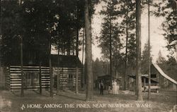 Home among the Pines Postcard