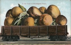 A Car Load of Washington Pears Postcard