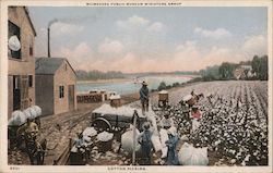 Cotton Picking Postcard
