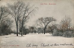 Snow Scene in Lake Park Postcard
