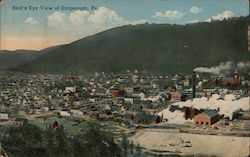 Bird's Eye View of City Emporium, PA Postcard Postcard Postcard