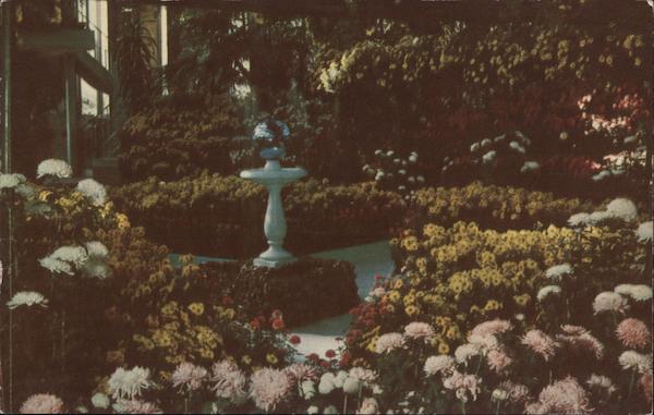 Chrysanthemum Display, Jewel Box - Forest park St. Louis Missouri
