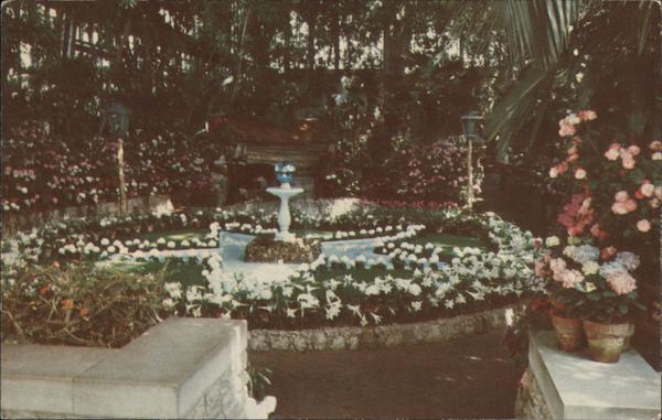 Easter Lily Display at Jewel Box St. Louis Missouri
