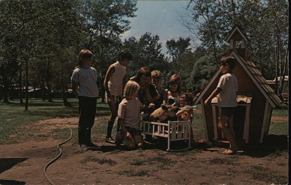 Wilderness Walk Hayward Wisconsin