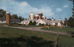 Deep Lake Farm Postcard